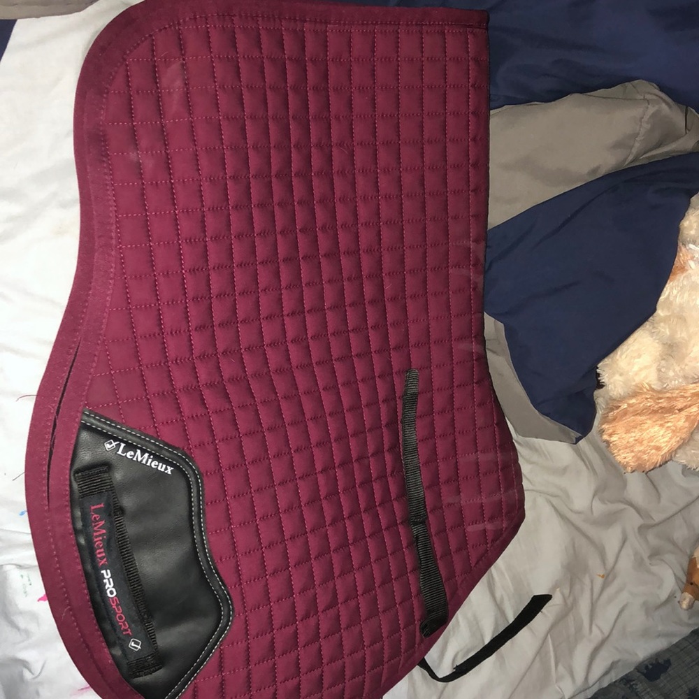 Le Mieux Saddle pad!